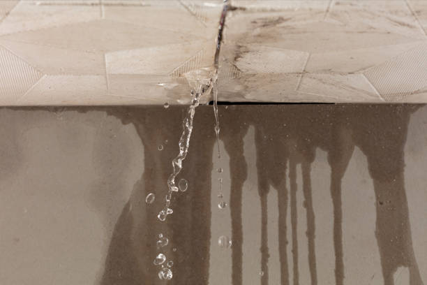 Professional Water Damage Repair technician working in Conroe, TX